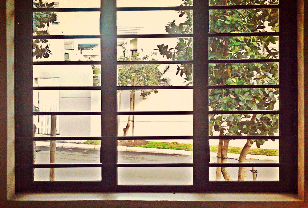 Burglar Bars